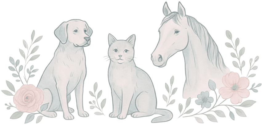 Tails Through The Lens Logo